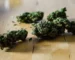 buy weed in Mexico City